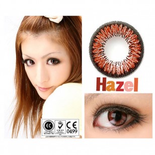 NEO Sunflower Hazel(N227)